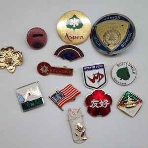 Vintage Collectible Lapel Pins Bundle Aspen Keystone Winter Park Buttermilk Lot