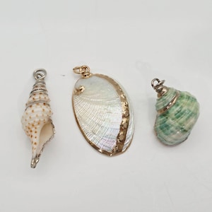 Puede incluir: Tres colgantes de conchas marinas. Uno es una concha en espiral con alambre de plata. Otro es una concha ovalada con ribete dorado. El tercero es una concha verde y blanca con una tapa dorada. Estos colgantes son ideales para la fabricación de joyas.