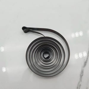 May include: A tightly coiled, dark gray metal spring. The spring is circular, with the coils decreasing in size towards the center. A flat, elongated extension extends from the outer coil.