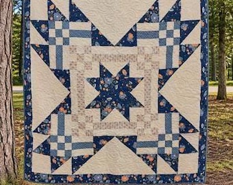 Barn Pillow and Quilt