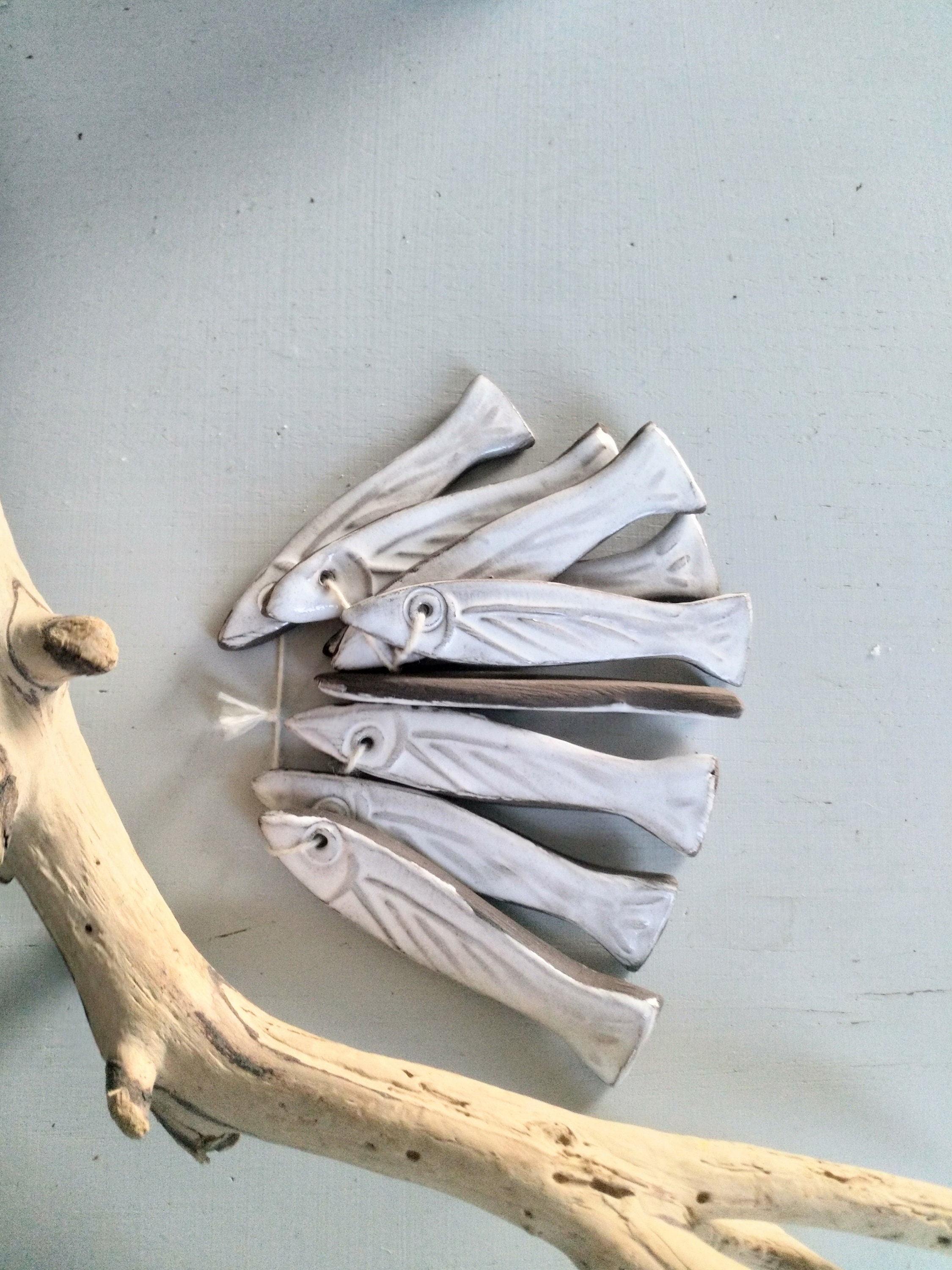 set 10 Sardines Blanches