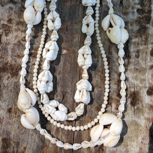 Vintage Seashell Necklace Set