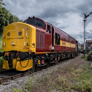 Op de afbeelding: Een bordeauxrode en gele diesellocomotief op een spoor. De voorkant van de trein is geel, met het nummer 37250 zichtbaar. De zijkant van de trein heeft de tekst "EWS". De lucht is bewolkt.