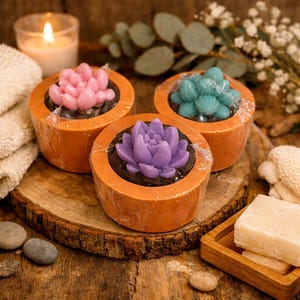 May include: Three succulent-shaped soaps in terracotta-colored pots, each with a different color: pink, teal, and purple. The soaps sit on a wooden surface with a lit candle, towels, and a bar of soap.