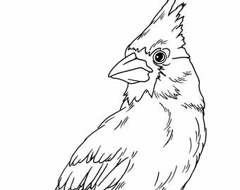 Cardinal Coloring Page