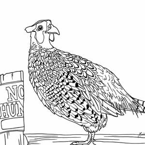 Ring-Necked Pheasant Coloring Page image 1