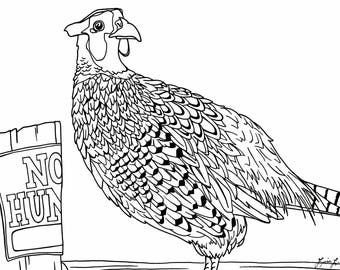 Ring-Necked Pheasant Coloring Page