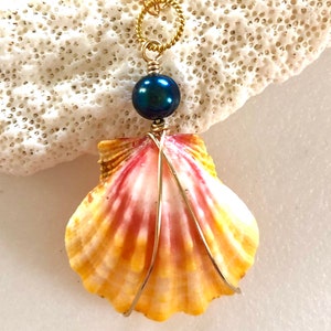 Large Sunrise Shell Necklace, Hawaiian Sunrise Shell, Shell Necklace, Beach Girl, Ocean Jewelry, Sunrise Shell, 14K Gold Fill.