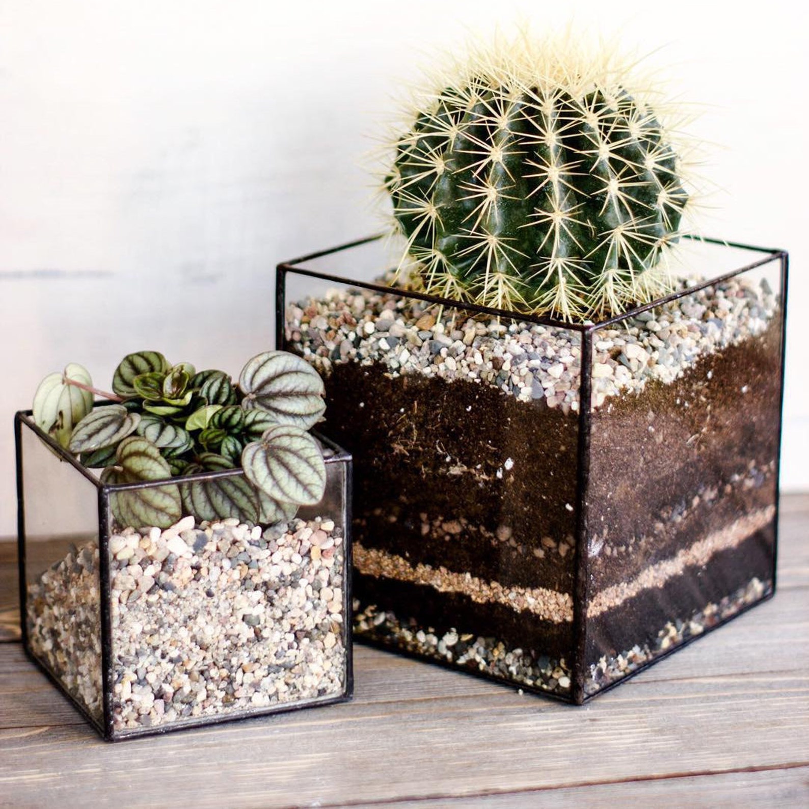 Cube Glass Succulent Planter 3 sizes / Handmade Glass Etsy