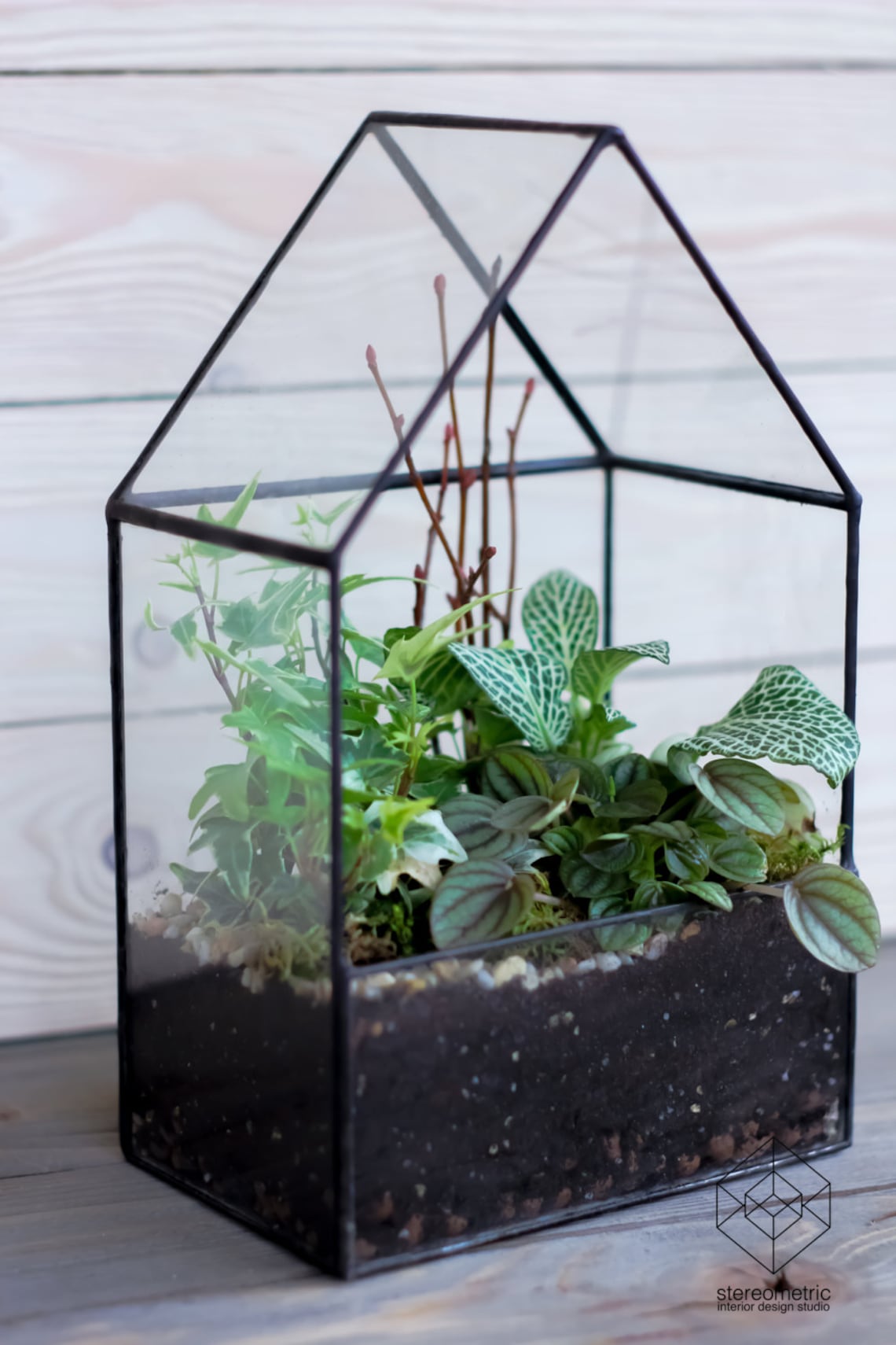 Big Glass House Planter / Handmade Glass Succulent Terrarium / Etsy