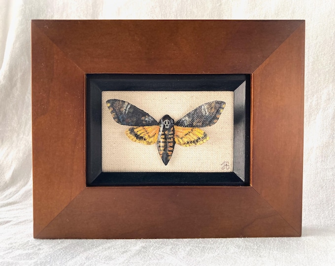 Framed painted clay and canvas faux death's head hawkmoth