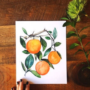 Orange Blossoms Art Print