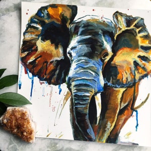 Elefante - Art Print