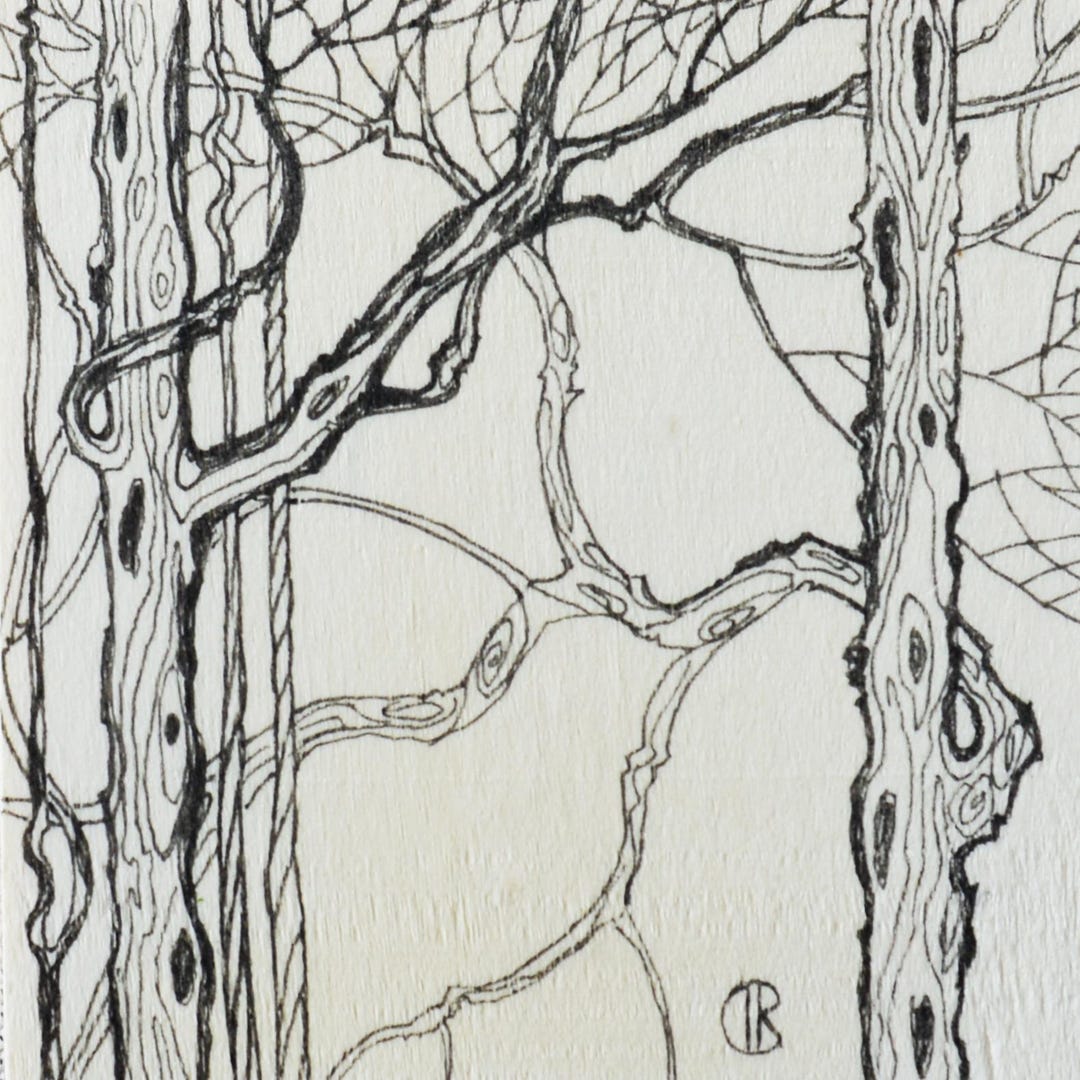 Original Pen and Ink Tree Drawing on Birch Wood (4x4) - Etsy