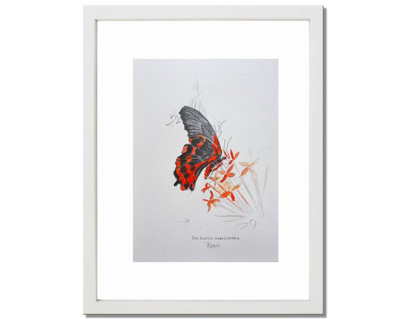 Butterfly Painting, Original Drawing, Graphite Pencil, Colored Pencil, Drawing, by Tatjana, Original Art, Mothers Day Gift, Fathers Day Gift image 2