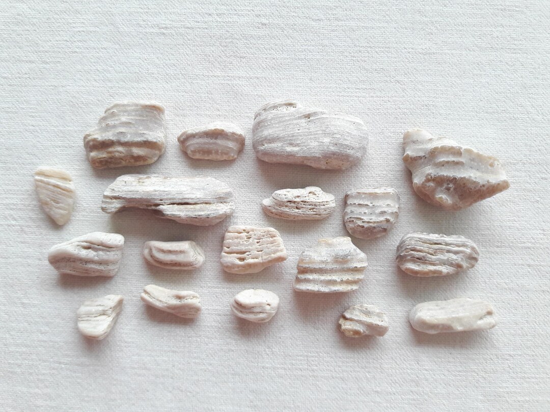 Sea Stone, Mini Marine Rock, Supply for Mineral Creation, Japanese ...