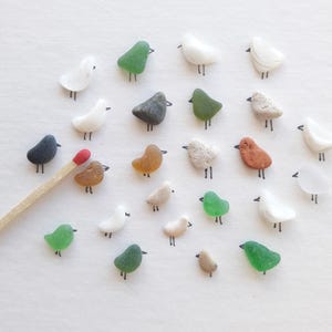Piccoli ciottoli piatti e lisci, Piccolissimi ciottoli lisci, Ciottoli a forma di uccello. Set ideale per mosaici o dipinti, 24 pezzi.