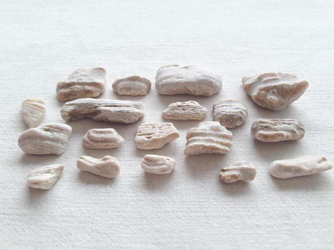 Sea Stone, Mini Marine Rock, Supply for Mineral Creation, Japanese ...
