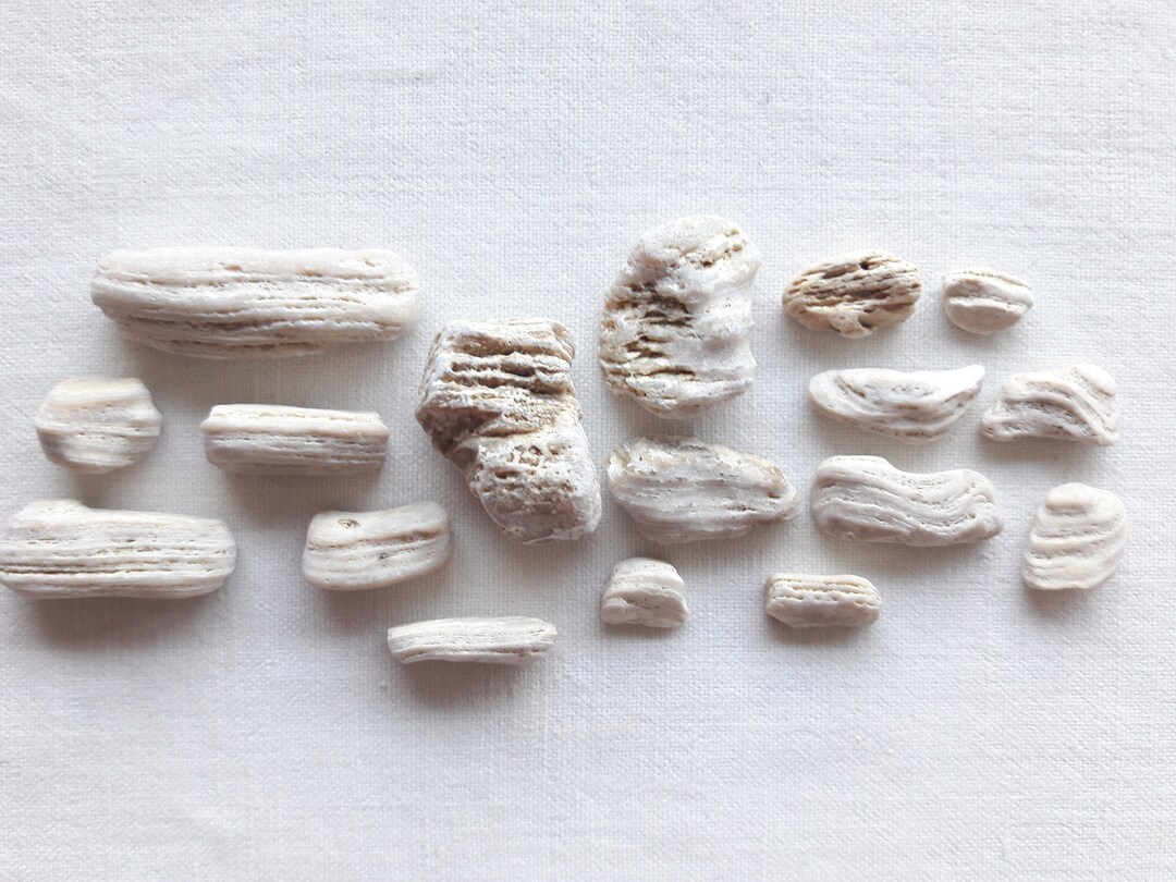 Sea Stone, Mini Marine Rock, Supply for Mineral Creation, Japanese ...