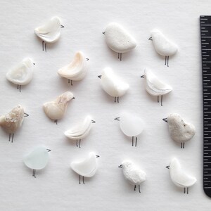 Vetro marino a forma di uccelli, vetro marino liscio, Ciottoli a forma di uccelli. Set ideale per mosaico o quadri, 16 pezzi.
