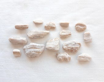 Op de afbeelding: Een assortiment kleine, lichtgekleurde stenen met verschillende vormen en texturen. De stenen zijn voornamelijk beige en gebroken wit, met zichtbare strepen en natuurlijke patronen. Ze zijn gerangschikt op een wit, getextureerd oppervlak, wat een neutrale en aardse esthetiek creëert.