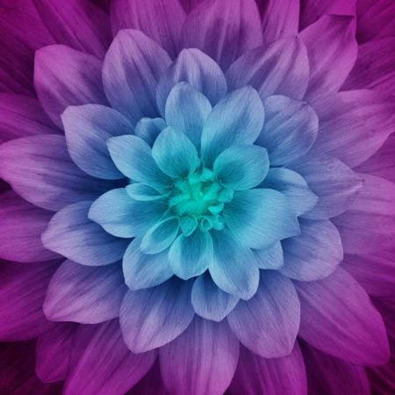 Hoffman Dream Big 43 x 43 Panel in Aurora P4389H-532 digital print cotton fabric purple turquoise flower floral woven quilting