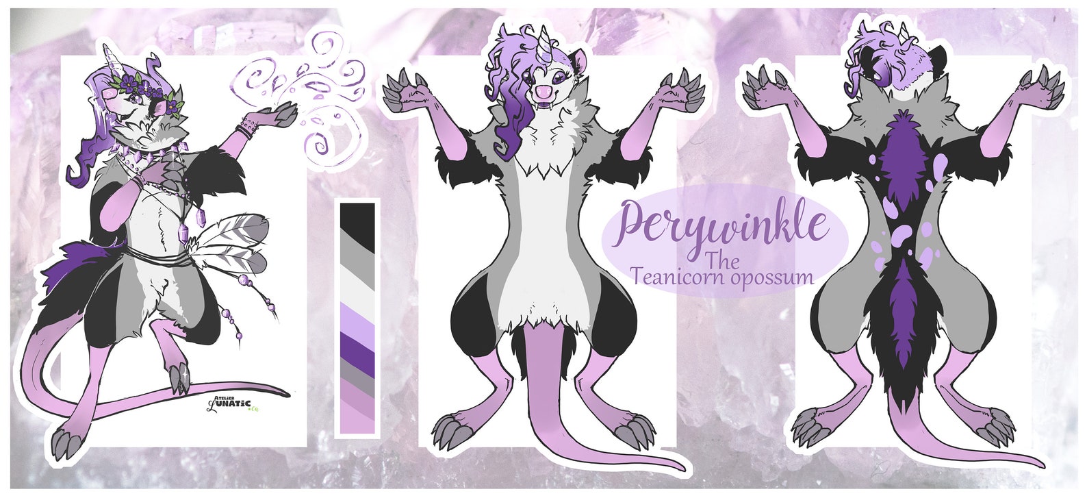 Symmetrical reference sheet furry character ref wolf cat fox | Etsy