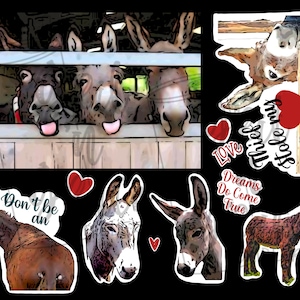 Druckbare Sticker- Esel2- DIGITALER DOWNLOAD, PNG, Wasserrutschen, Aufkleber, Sublimation, Druck dann schneiden, DateiKunst, Sofort Download