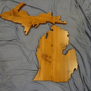 De plaquette van Michigan.  Bovenste en onderste schiereilanden.  Stevige rode ceder