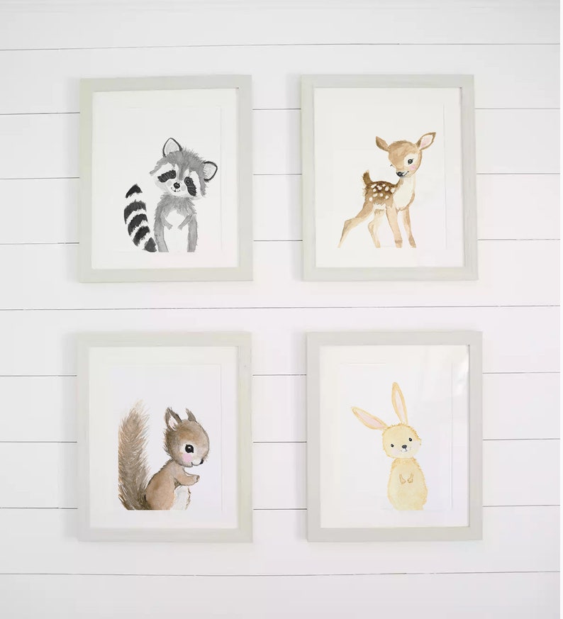 May include: Four framed watercolor illustrations of woodland animals. The top left frame shows a raccoon, the top right frame shows a deer, the bottom left frame shows a squirrel, and the bottom right frame shows a rabbit.