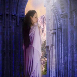 Cosplay Arwen dress of Lord of the Ring