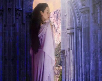 Cosplay Arwen dress of Lord of the Ring