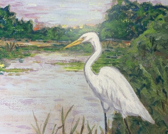 Egret, Great White