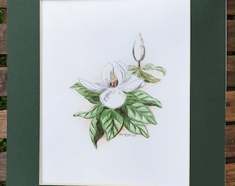 Magnolia Pen and Ink drawing, Louisiana art print, Magnolia market