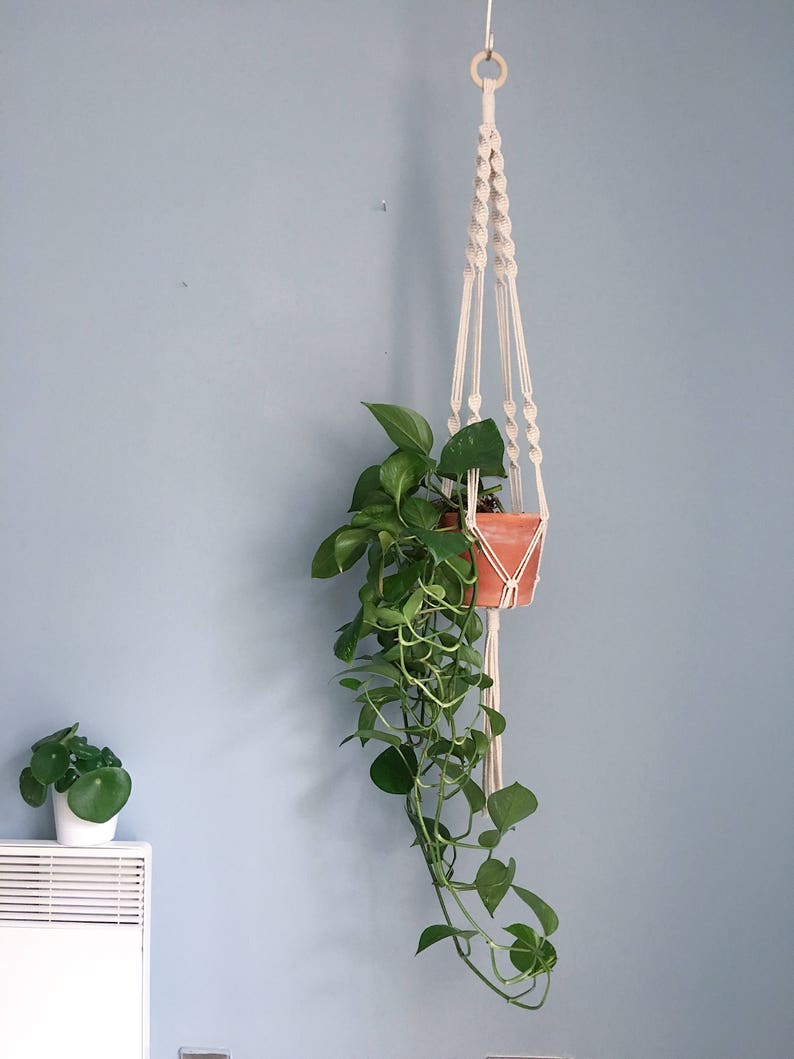 Double Spiral Macrame Plant Hanger / Hanging Planter
