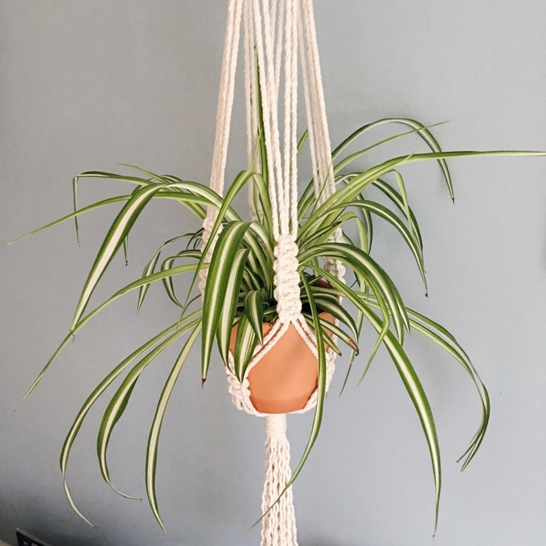 Handmade Chunky Macrame Plant Hanger / Spiral Knots / Etsy