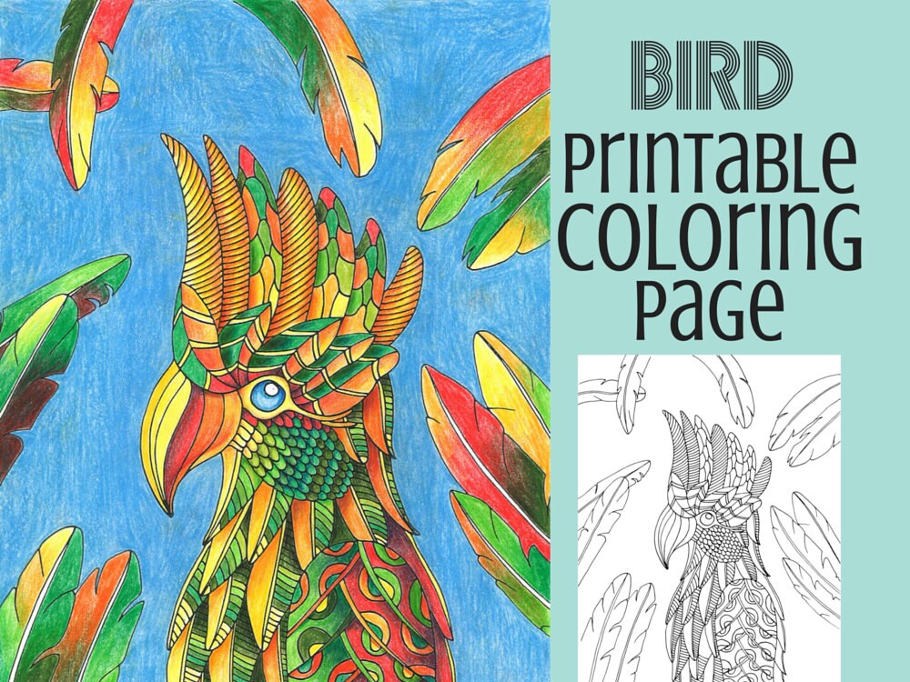 Download Coloring Pages Bird Coloring Book Adult Coloring Pages Etsy