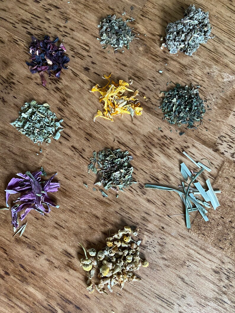 APOTHECARY Starter Kit, Herb Starter Kit, Tea Starter Kit, Recipes