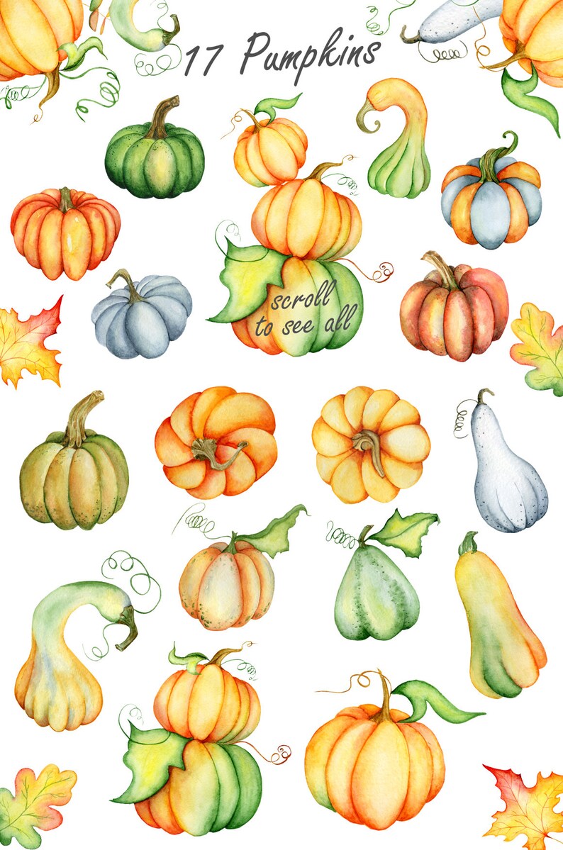 Pumpkin Clipart Watercolor Thanksgiving Harvest. Autumn Fall | Etsy