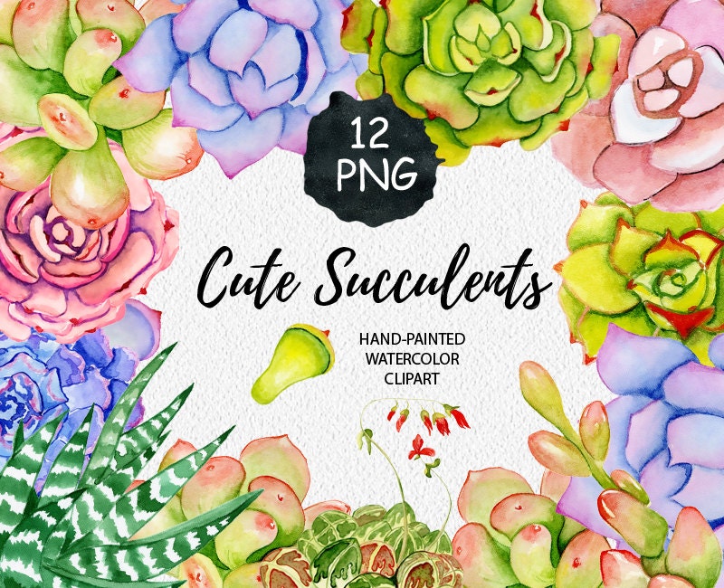 Succulents Clipart Hand painted Wedding diy elements | Etsy