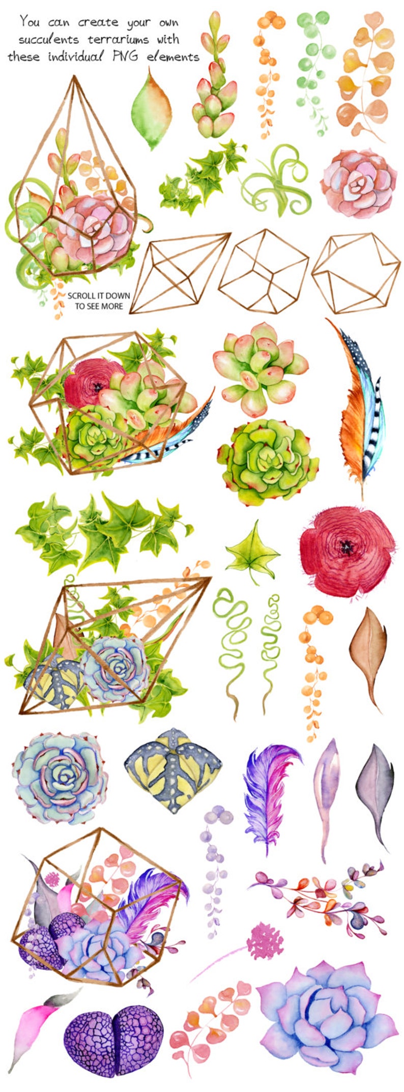 Watercolor Succulents and cactus terrariums. Cactus ...