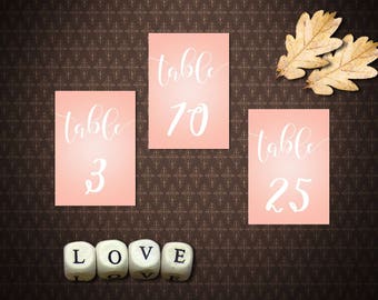 Blush Pink Instant Download Printable Table Numbers 1-32, Double-sided,  Blush Pink Wedding Decor,  code-025