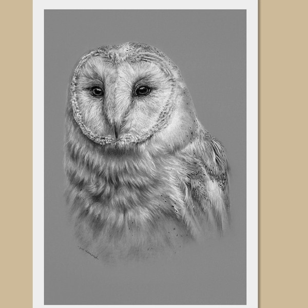 Barn owl art prints - A3, A4, A5 sizes - Tyto Alba - Owl drawing - Wildlife wall art - Bird lover gift