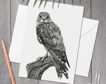 Merlin greeting card, A5 bird birthday card, Bird drawing, Bird of prey card, Any occasion, thank you, anniversary, wedding card