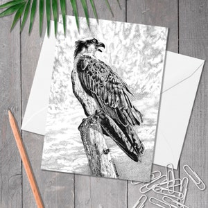 Carte de voeux A5 Osprey, carte d'anniversaire oiseau de proie, art oiseau dessiné à la main, carte toute occasion pour amateur d'oiseau de proie, Pandion haliaetus