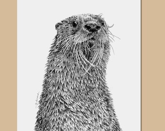 Otter art prints - A3, A4, A5 sizes - wildlife wall art - otter drawing - animal lover gift