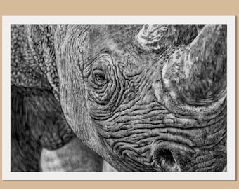 Rhinoceros art prints - A3, A4, A5 sizes - Rhino drawing - Digital art - African wildlife wall art - Animal lover gift