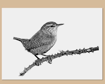 Wren art prints - A3, A4, A5 sizes - troglodytes troglodytes - Eurasian wren - Pencil drawing - Wildlife wall art - Bird lover gift