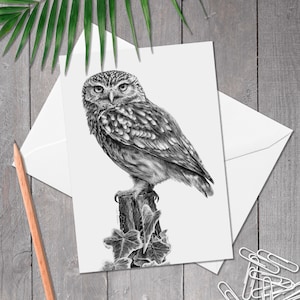 Carte de voeux A5 petit hibou, carte de hibou, art d'oiseau de proie dessiné à la main, carte d'anniversaire d'oiseau, carte de toute occasion pour l'amant de hibou, Athene noctua