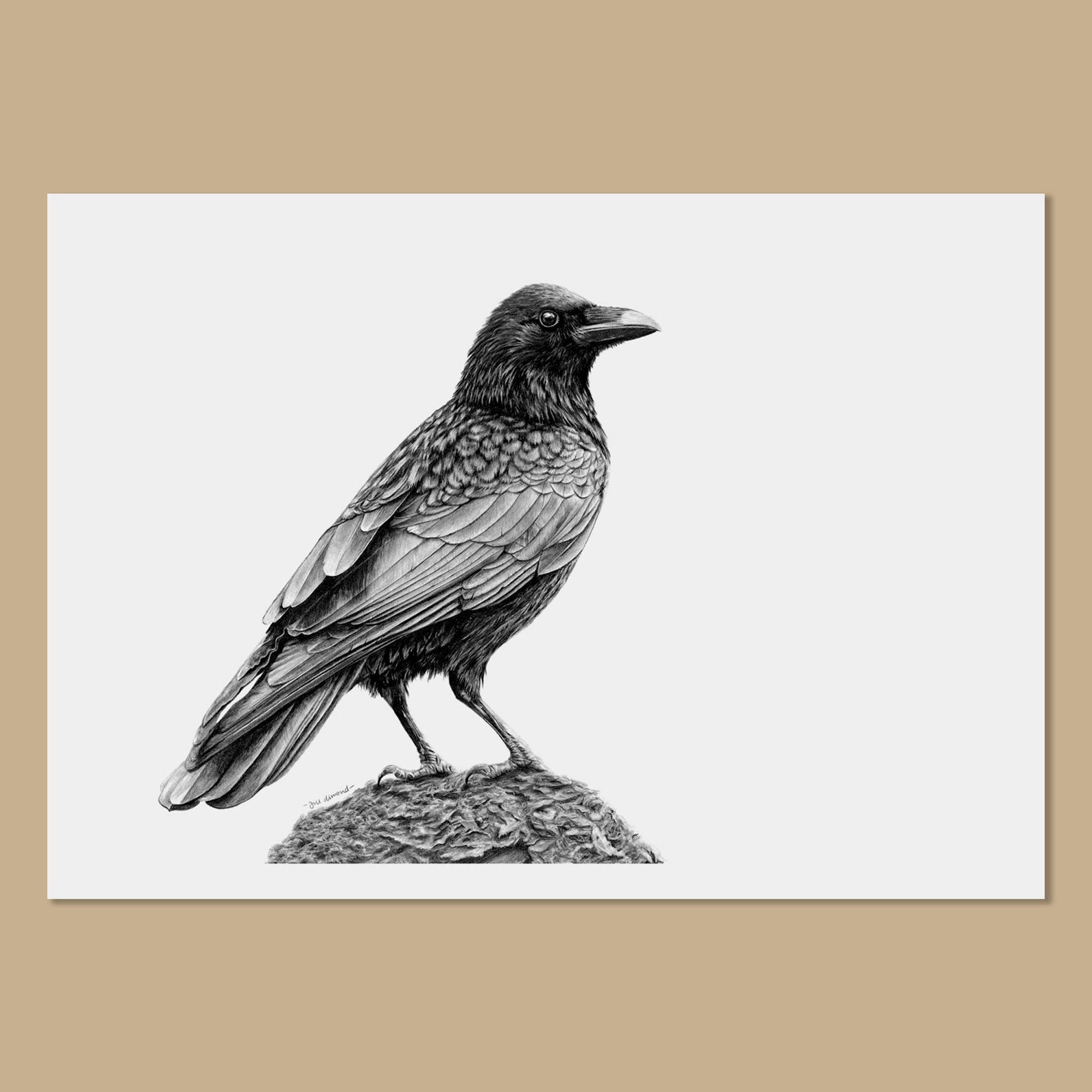 Crow Art Prints - A3, A4, A5 Sizes - Corvus Corone - Bird Wall Art